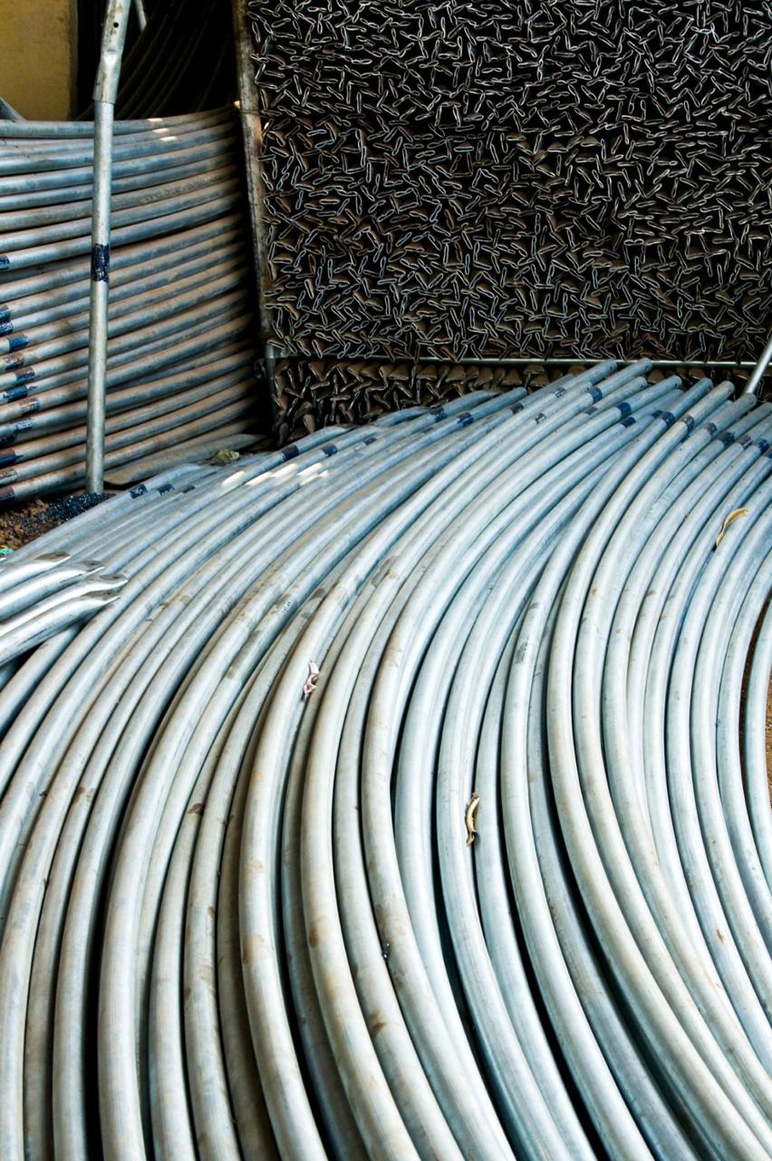 Greenhouse Project 77